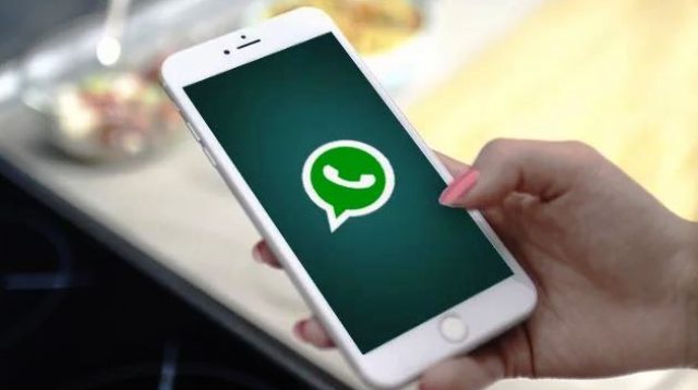 Cara Download Video di WhatsApp