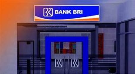 Pinjaman Online Bank BRI