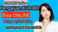 Pinjaman Online KUR BRI