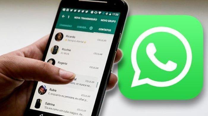 Cara Agar Tidak Terlihat Online di WhatsApp
