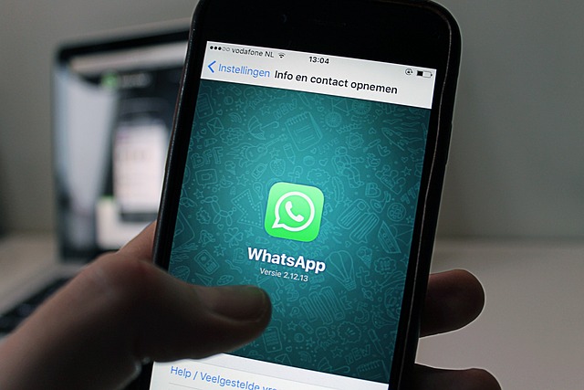 Bagaimana Cara Memperbarui Whatsapp di Androind dan iPhone, Mudah !