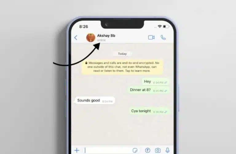 Cara Agar WhatsApp Tidak Terlihat Aktif Padahal Online: Mudah