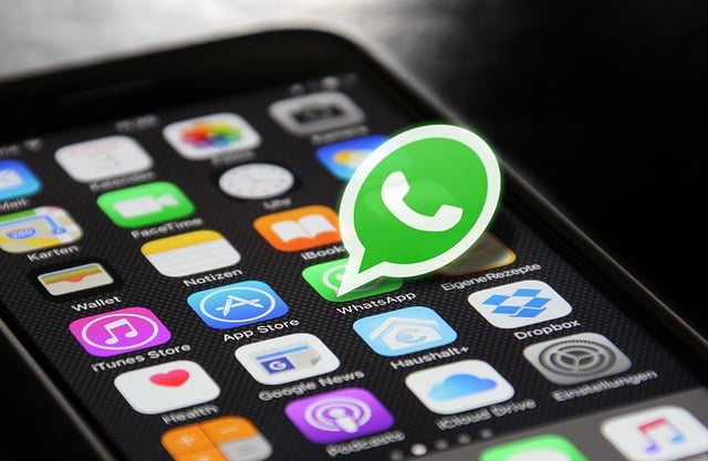 Bagaimana Caranya Agar Tidak Terlihat Online di WhatsApp, Mudah!