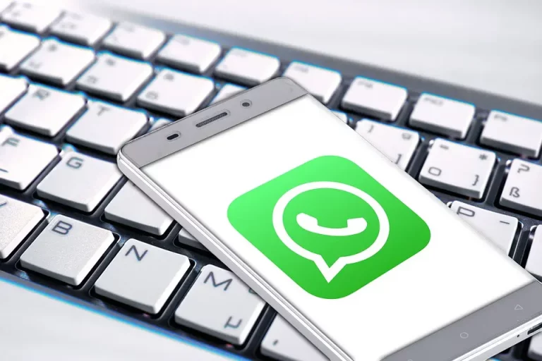 Cara Cek WhatsApp yang Sudah Dihapus dengan 8 Metode
